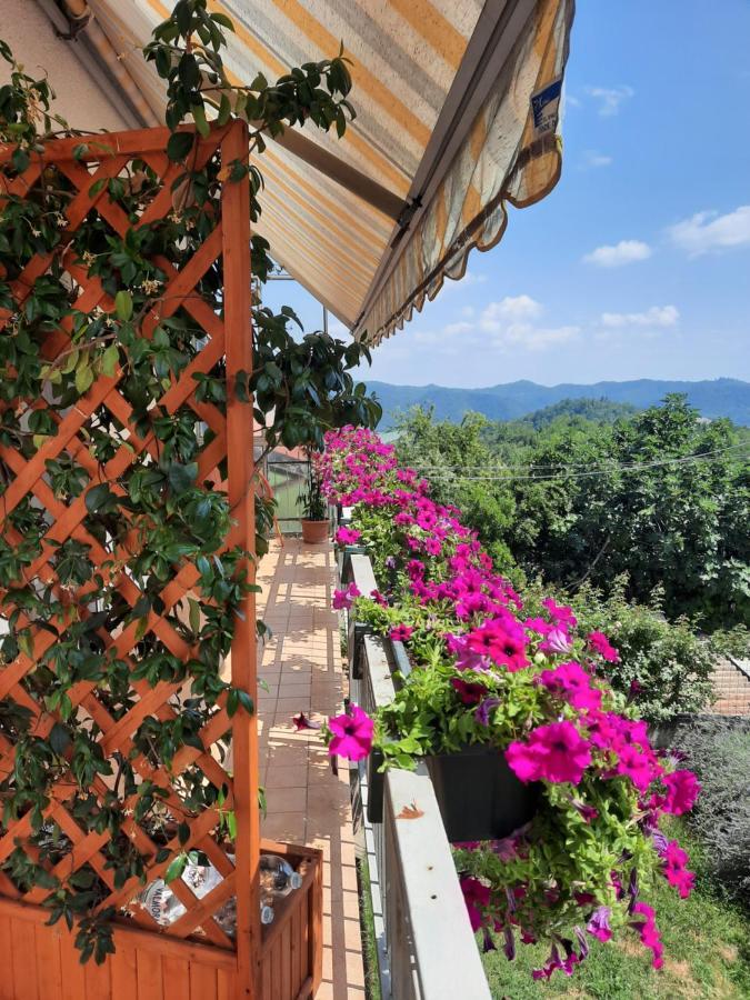 Monferrato Bed&Bike Hotel Murisengo Kültér fotó